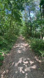IMG_9449.jpeg