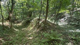 IMG_9466.jpeg