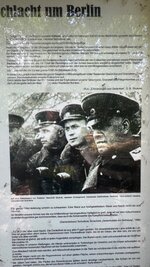 IMG_9460.jpeg