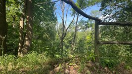 IMG_9458.jpeg