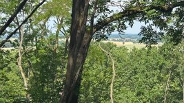 IMG_9459.jpeg