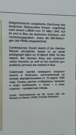 IMG_9485.jpeg