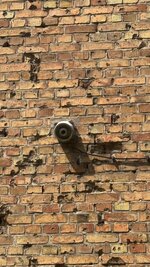 IMG_9497.jpeg