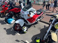 IMG_7970.jpeg IMG_7970.jpeg