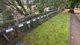 IMG_9507.jpeg
