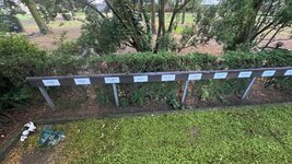 IMG_9508.jpeg