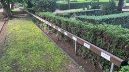 IMG_9510.jpeg
