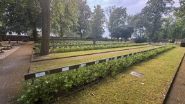 IMG_9512.jpeg