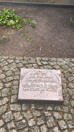 IMG_9519.jpeg