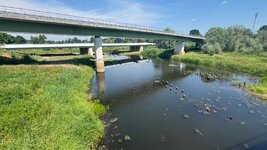 IMG_9551.jpeg