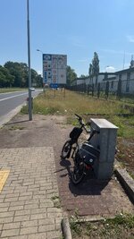 IMG_9560.jpeg
