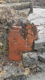 IMG_9588.jpeg