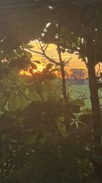 IMG_9637.jpeg