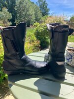 IMG_8372.jpeg