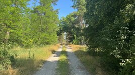 IMG_9644.jpeg