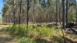 IMG_9645.jpeg