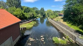 IMG_9652.jpeg