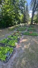 IMG_9654.jpeg