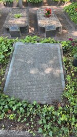 IMG_9659.jpeg