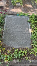 IMG_9660.jpeg
