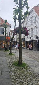 20260620_130648.jpg
