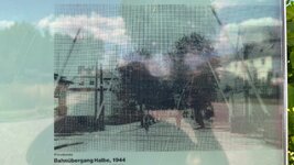 IMG_9725.jpeg