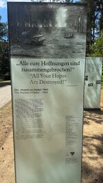 IMG_9669.jpeg