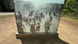IMG_9672.jpeg