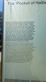 IMG_9677.jpeg