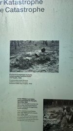 IMG_9682.jpeg