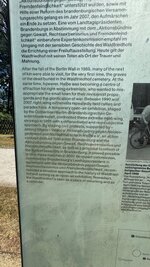 IMG_9695.jpeg