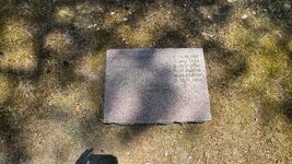 IMG_9701.jpeg