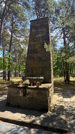 IMG_9706.jpeg