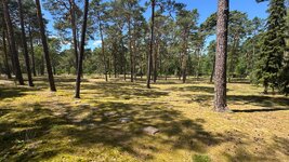 IMG_9707.jpeg