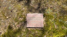 IMG_9708.jpeg