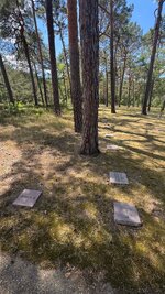 IMG_9709.jpeg