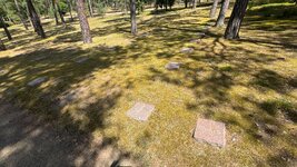IMG_9710.jpeg