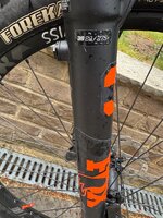 IMG_1595.jpeg