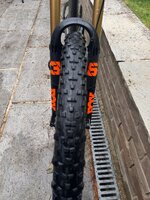 IMG_1597.jpeg