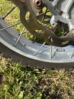 IMG_2211.jpeg