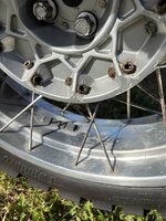 IMG_2213.jpeg