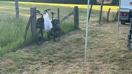 IMG_9774.jpeg IMG_9774.jpeg