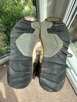 IMG_1111.jpeg