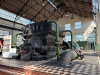 IMG_7774.jpeg