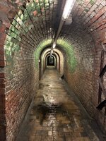 IMG_7778.jpeg
