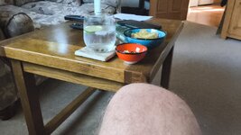 IMG-20260627-WA0002.jpeg