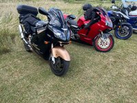 IMG_8061.jpeg