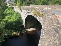 IMG_6890.jpeg