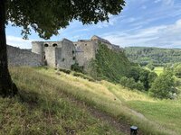 IMG_7841.jpeg IMG_7841.jpeg