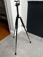 IMG_1207.JPG